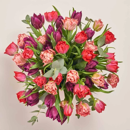 Product image 51 Peony Tulips Mix and Eucaliptus in flowerpot, vendor code: 3991