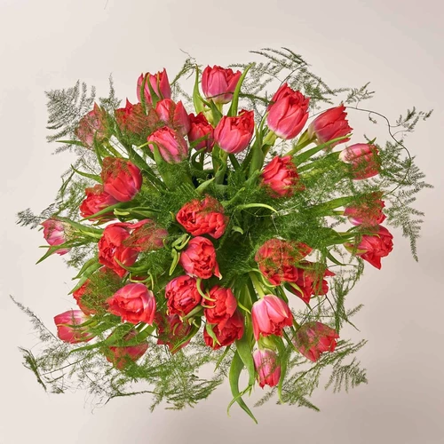 Зображення товару 35 Червоних ПіоновиднихТюльпанів та Аспарагус в керамічному кашпо, артикул: 3992