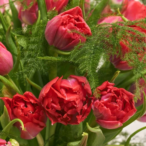 Product image 35 Red Peony Tulips and Asparagus in flowerpot, vendor code: 3992