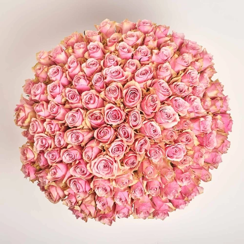 Зображення товару Букет 101 Троянда Атена Роял, пакування: Кафін кремовий, артикул: 4001