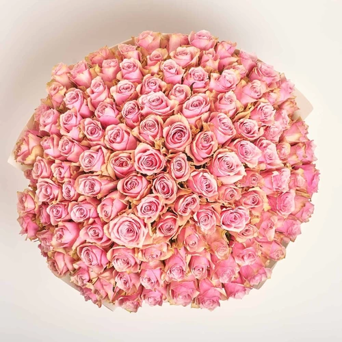 Product image Bouquet of 101 Roses  Athena Royal, packaging: Kafin cream, vendor code: 4001