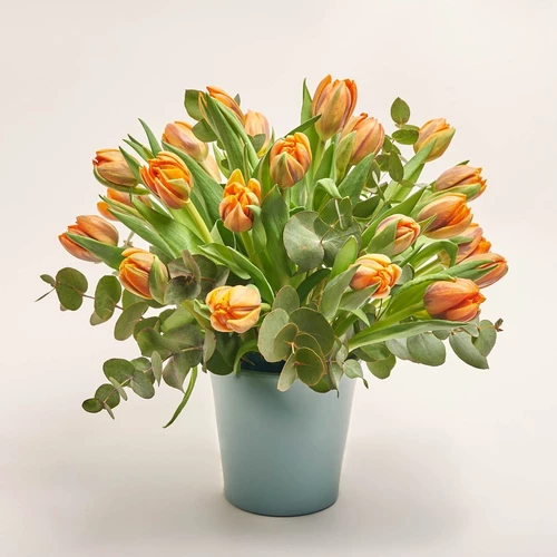 Product image 25 Orange Peony Tulips and Eucaliptus in flowerpot, vendor code: 4005