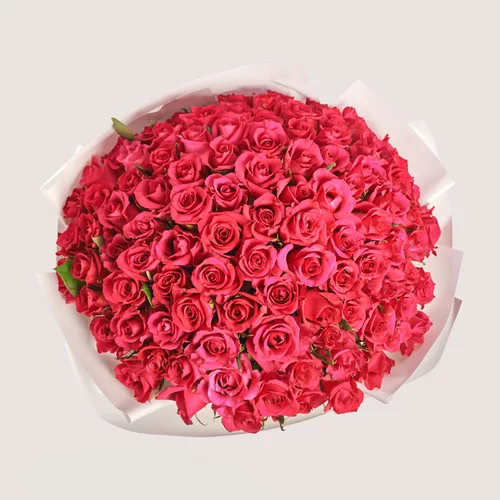 Product image Bouquet of 101 Ruspberry Roses, packaging: White, SKU: 4009
