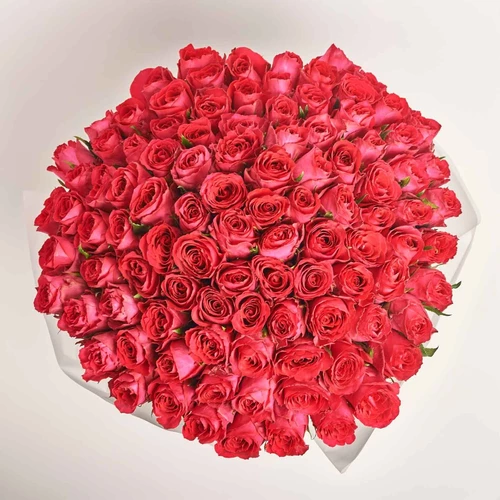 Product image Bouquet of 101 Ruspberry Roses, packaging: White, vendor code: 4009