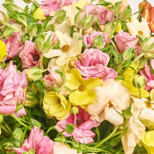 Product image Bouquet 51 Ranunculuses Butterfly Мix, packaging: Kafin cream, vendor code: 4046