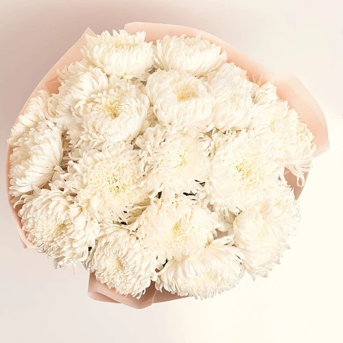 Product image Bouquet of 25 White Single button Chrysanthemums, packaging: Kafin rose, vendor code: 4048