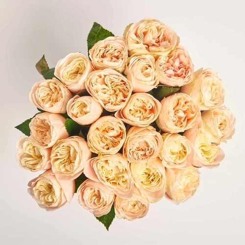 Product image Bouquet of 25 Cream peony Roses, packaging: Without packaging, vendor code: 4050