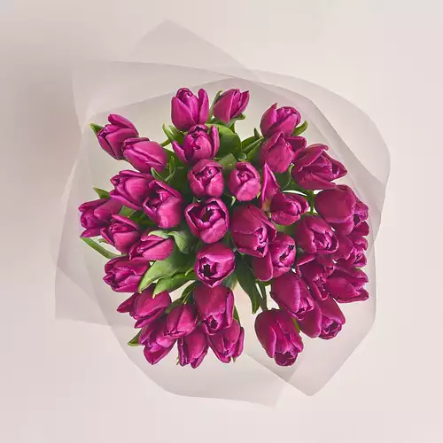 Зображення товару Букет 35 Фіолетових тюльпанів, пакування: Прозора, артикул: 2278
