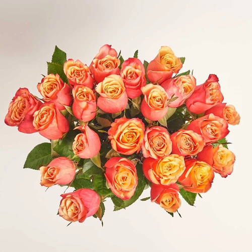 Product image Bouquet of 25 Bicolor roses, packaging: Without packaging, vendor code: 4052