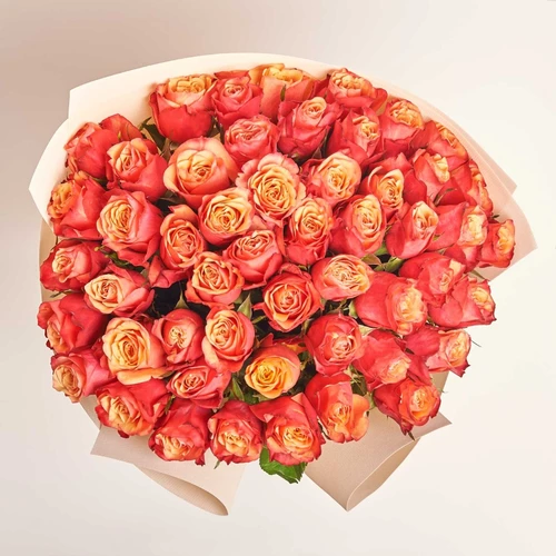 Product image Bouquet of 51 Bicolor roses, packaging: Kafin cream, vendor code: 4055