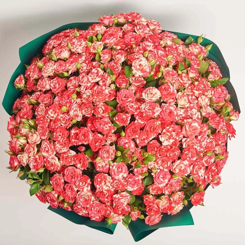Product image Bouquet of 51 Spray roses Fireworks, packaging: Green, vendor code: 4056