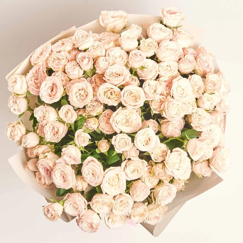 Product image Bouquet of 25 Roses Spray Bombastic, packaging: Pink, vendor code: 4057