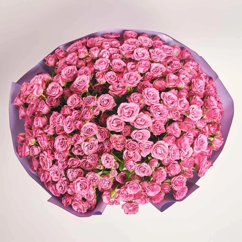 Product image Bouquet of 51 Purple Roses Spray, packaging: Gradiens violet, vendor code: 4059