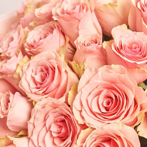 Product image Bouquet of 25  Roses Tango, packaging: Blue, vendor code: 4060