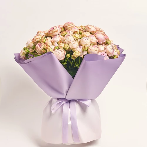 Product image Bouquet of 25  Peony Roses Spray Blossom Bubbles, packaging: Gradiens violet, SKU: 4062
