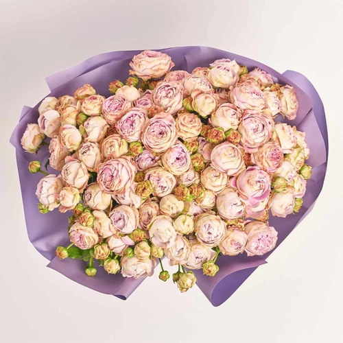 Product image Bouquet of 25  Peony Roses Spray Blossom Bubbles, packaging: Gradiens violet, SKU: 4062
