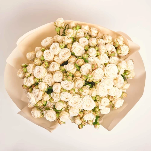 Product image Bouquet of 25 Peony Roses Spray Princess Bombastic, packaging: Kafin cream, SKU: 4063