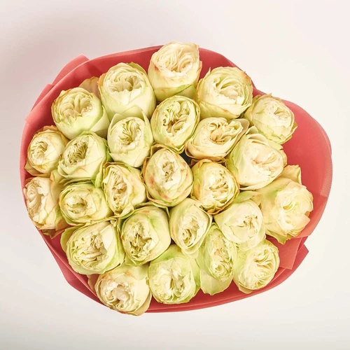 Product image Bouquet of 25 Peony Roses Khela, packaging: Kafin rust, vendor code: 4064