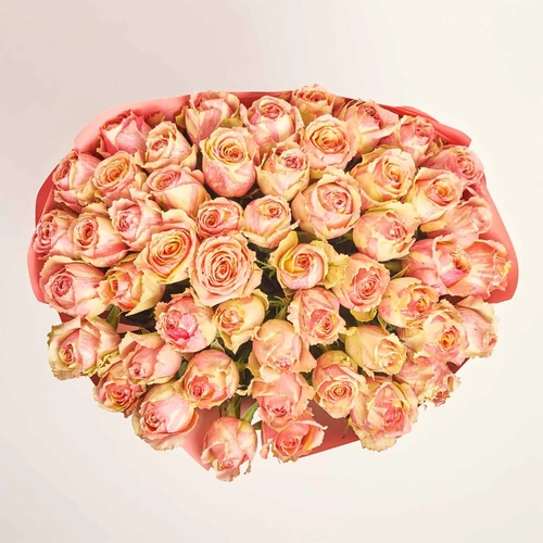 Product image Bouquet of 51  Roses Fiesta, packaging: Gradiens pink, vendor code: 4075