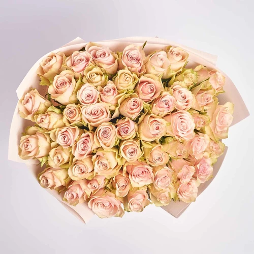 Product image Bouquet of 51 Roses Pink Athena, packaging: Kafin rose, vendor code: 4081
