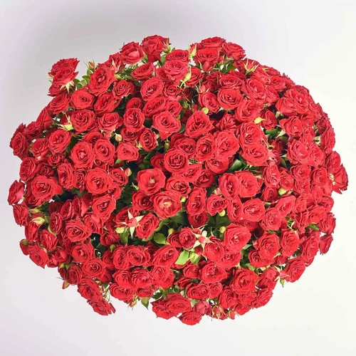 Product image Bouquet of 51 Red Roses Spray, packaging: Without packaging, vendor code: 4083