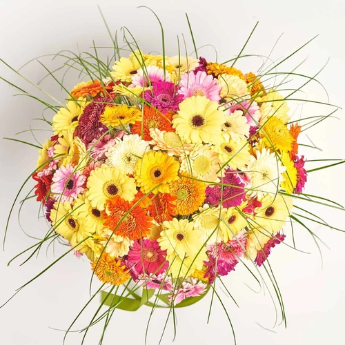 Product image Bouquet of 101 Gerberas Mini Mix, packaging: Without packaging, vendor code: 4086