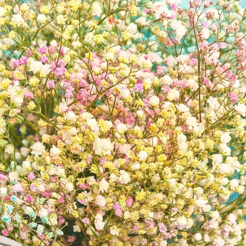 Зображення товару Букет 748, артикул: 4097