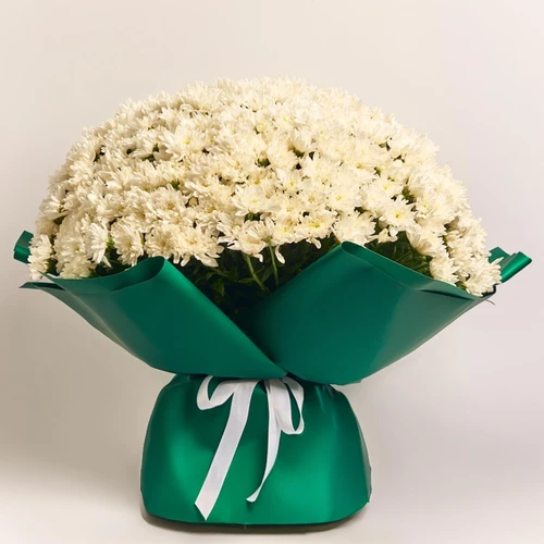 Product image Bouquet 101 White Chrysanthemum, packaging: Green, SKU: 4102