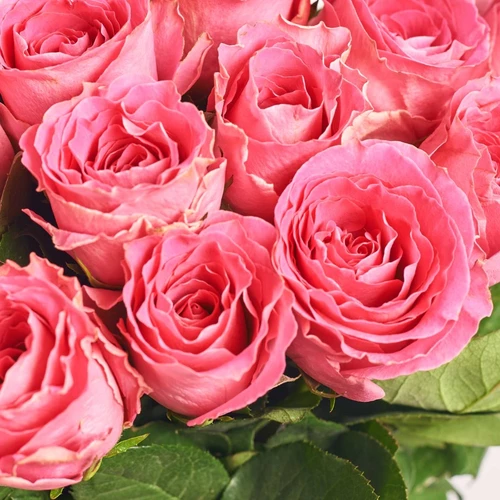 Product image Bouquet of 25 Roses Waterheim, packaging: Gradiens blue, SKU: 4110