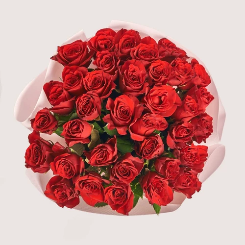 Product image Bouquet of 35 Red Roses Explorer, packaging: Kafin rose, SKU: 4114