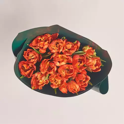 Зображення товару Букет 15 Червоних Піоновидних тюльпанів, пакування: Зелена, артикул: 2179