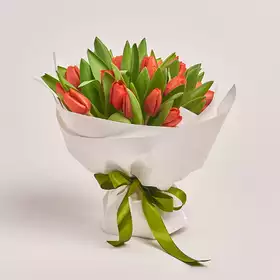 Букет 25 Червоних тюльпанів