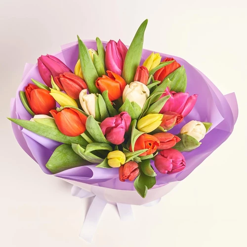 Зображення товару Букет 25 Тюльпанів Мікс, пакування: Фіолетова, артикул: 2264