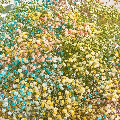 Зображення товару Букет 15 Гіпсофіл Фарбованих, пакування: Рожева, артикул: 2473