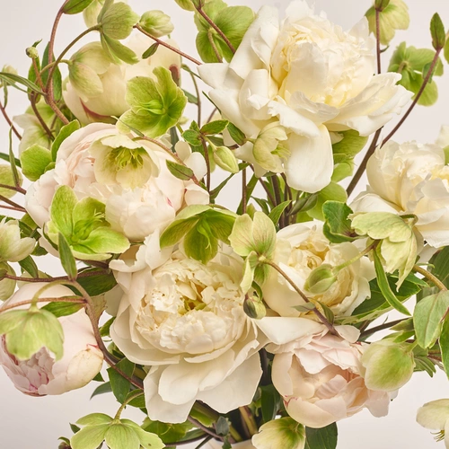 Зображення товару Букет 644, пакування: Прозора, артикул: 2306