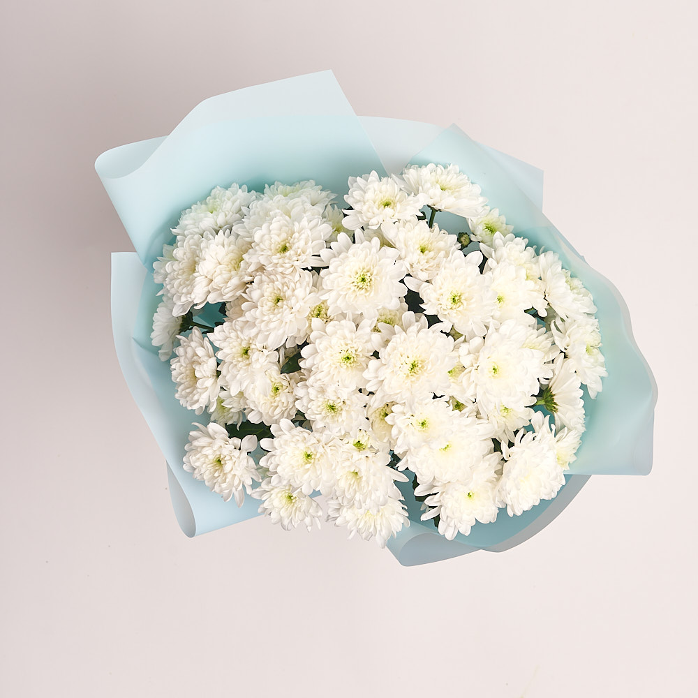 Зображення товару , артикул: 