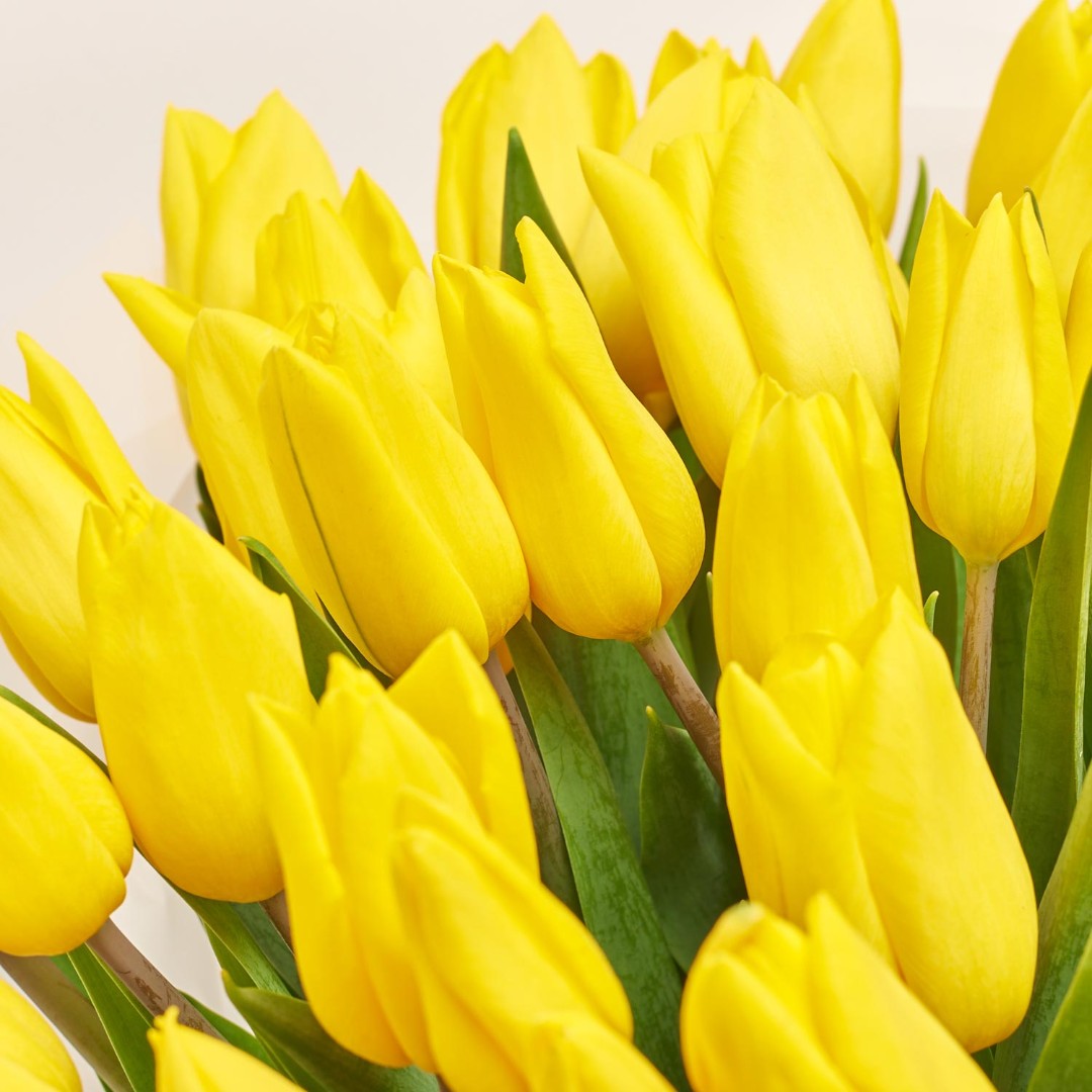 Product image Bouquet 51 Yellow tulip, vendor code: 2289