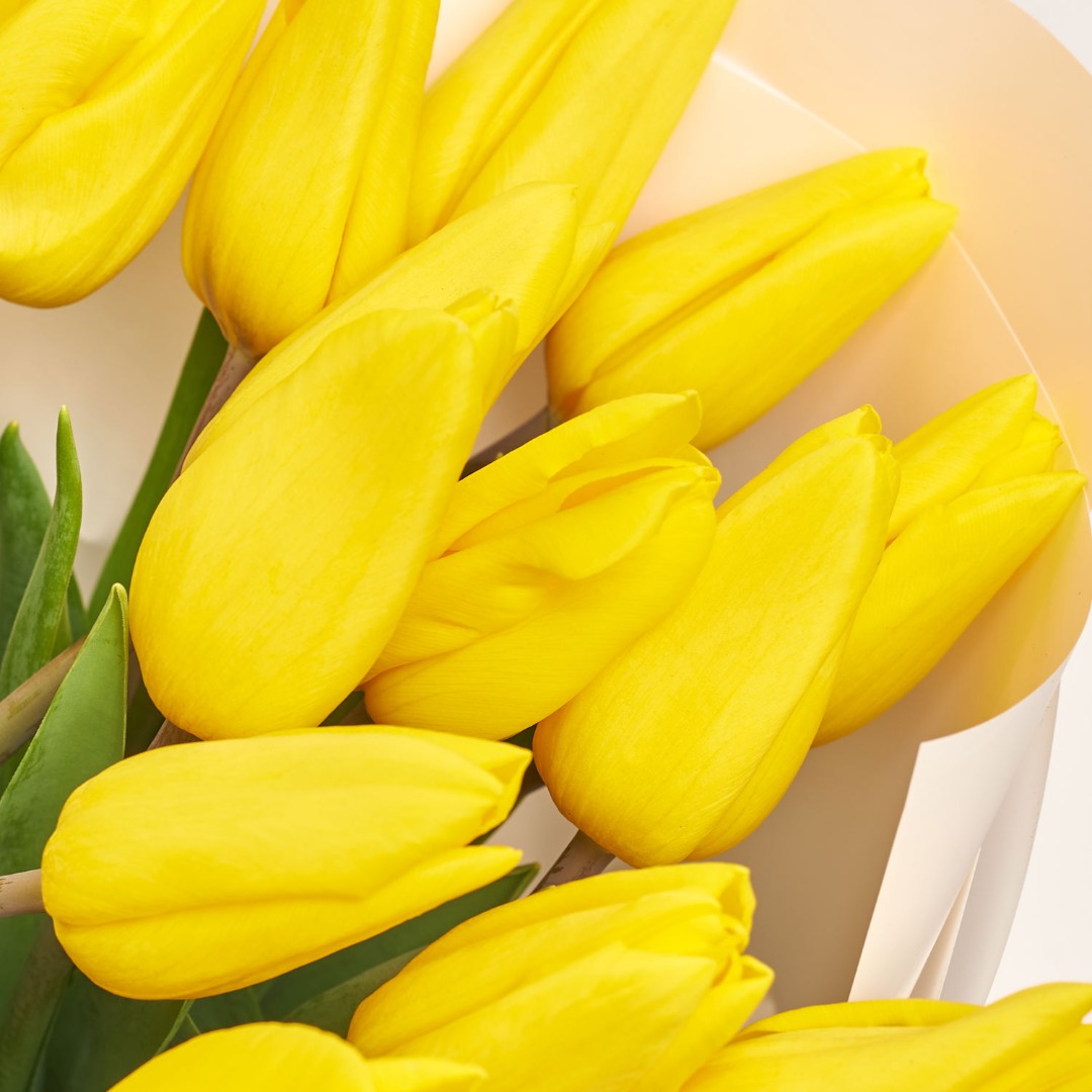 Product image Bouquet of 25 Yellow tulips, vendor code: 2259