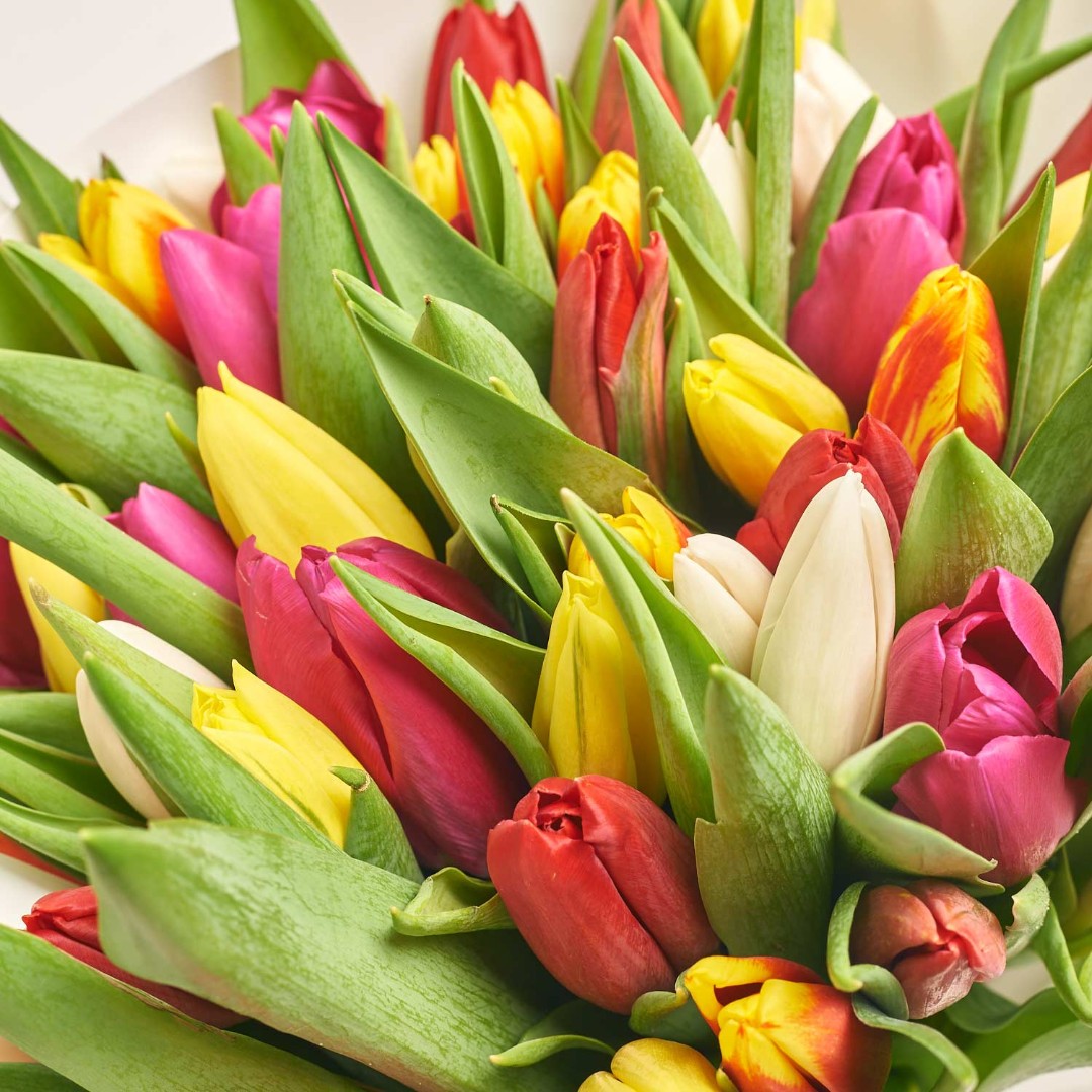 Product image Bouquet 51 Tulip Мix, vendor code: 2299