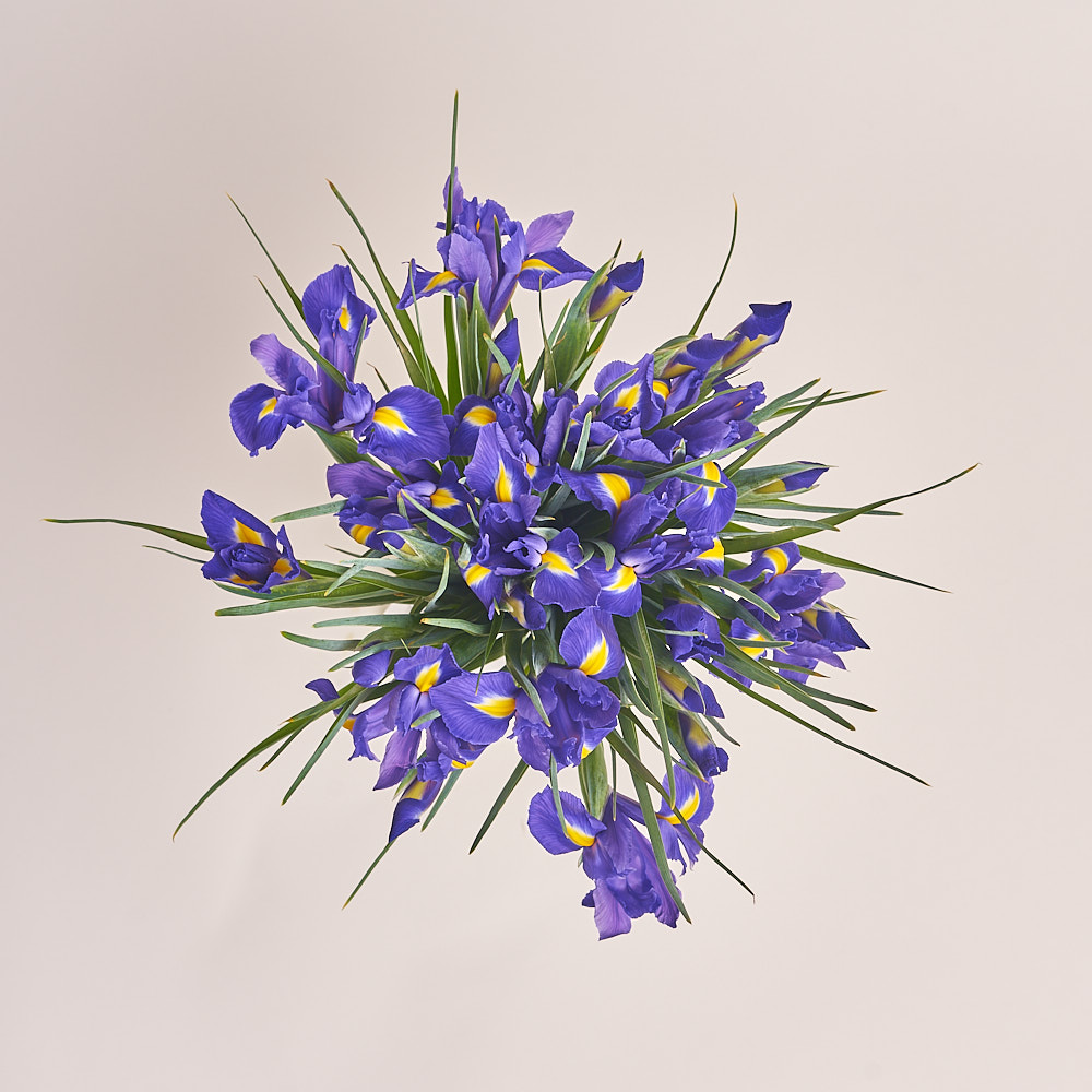 Product image , vendor code: 