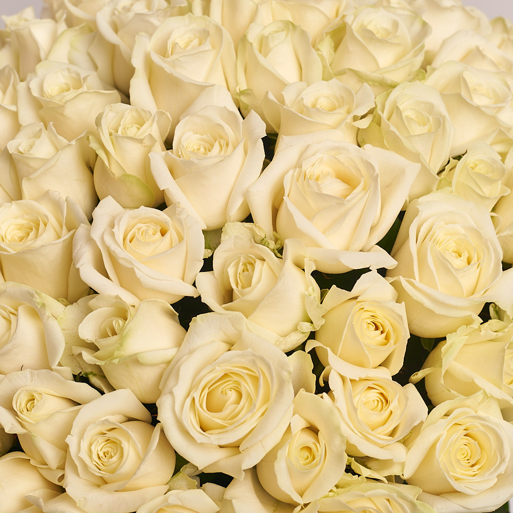 Product image Bouquet of 75 White Roses , vendor code: 2321