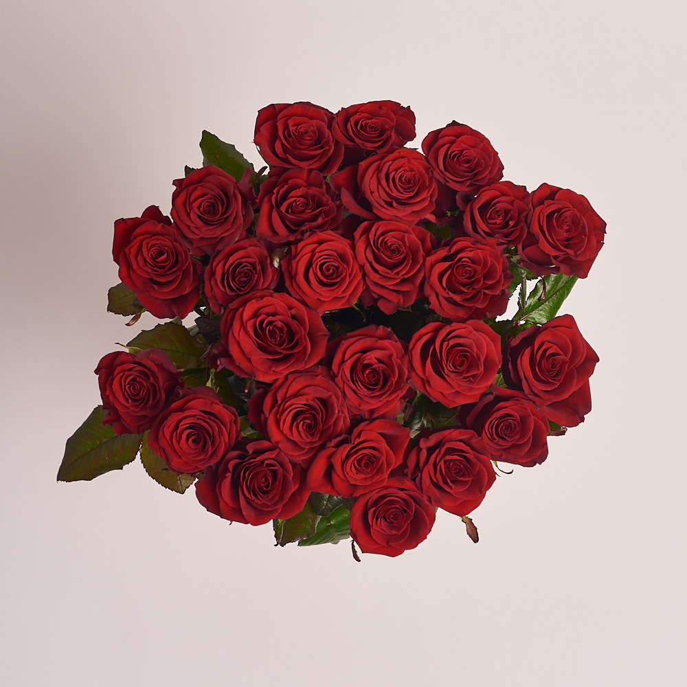 Product image , vendor code: 