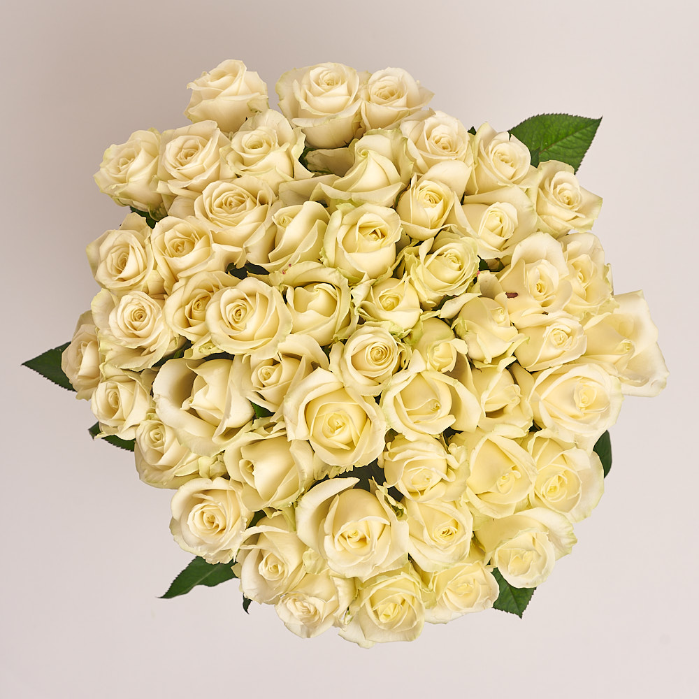 Product image , vendor code: 