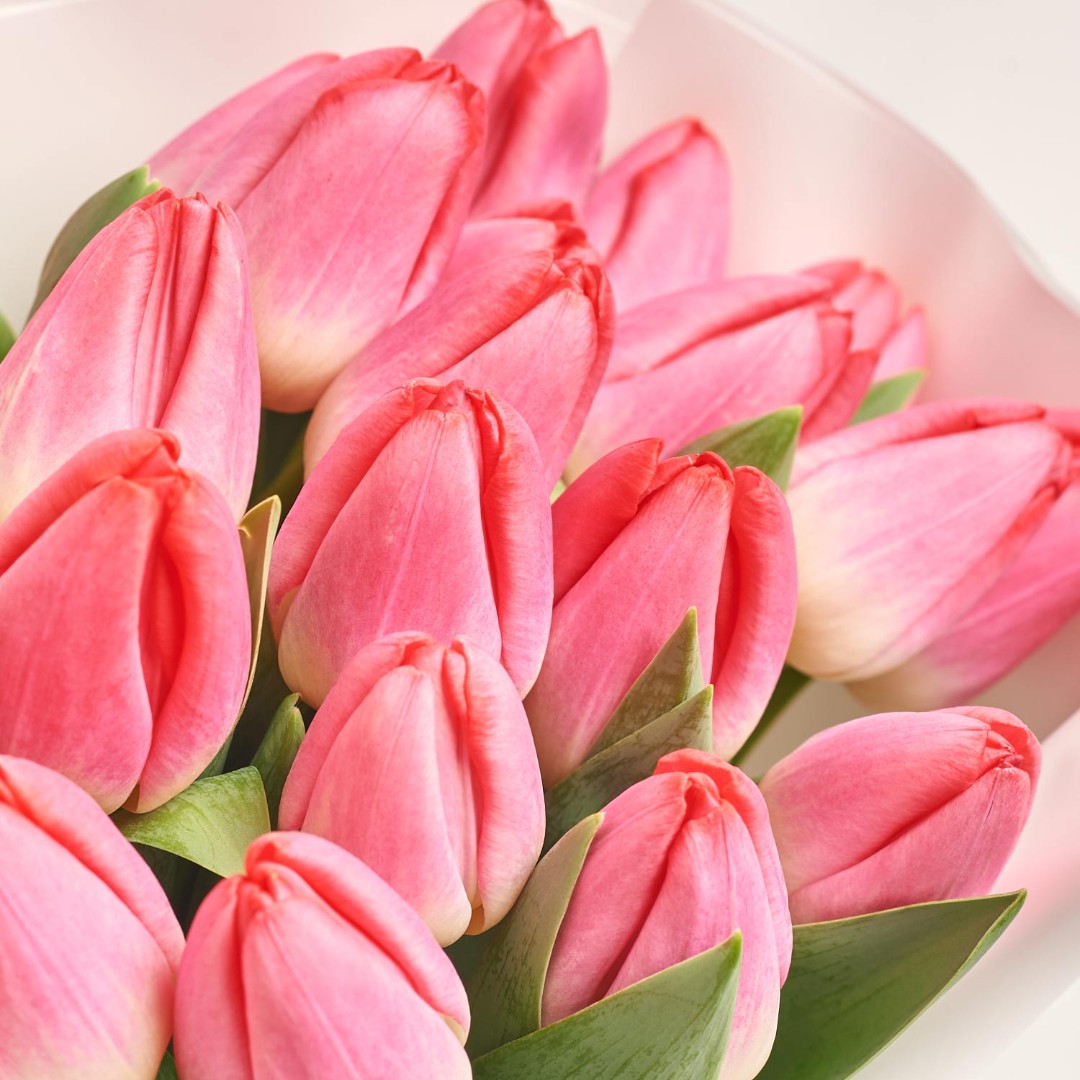 Product image Bouquet of 25 Pink Tulips, vendor code: 2263