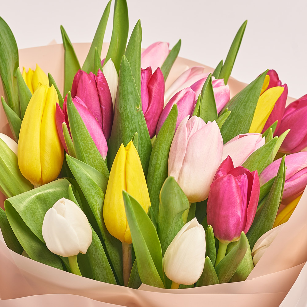Product image Bouquet of 25 Tulips Мix, vendor code: 2264
