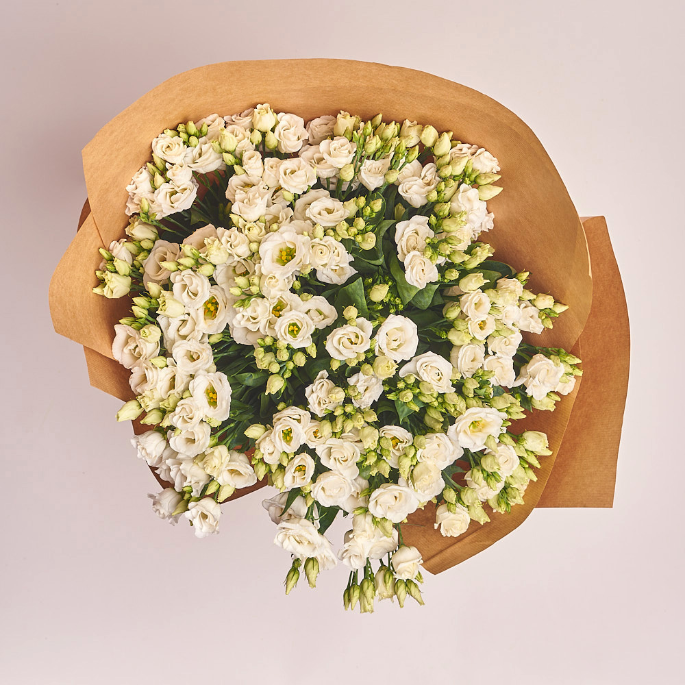 Product image , vendor code: 
