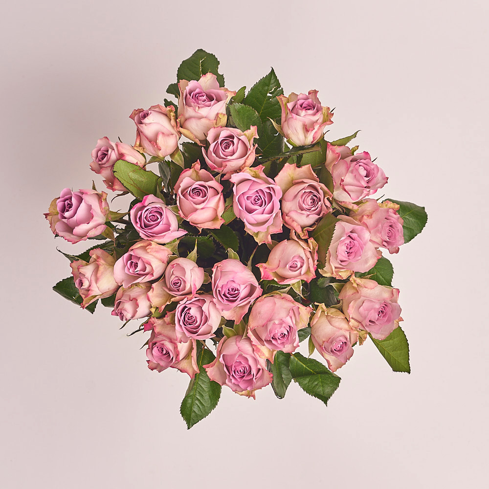 Product image , vendor code: 