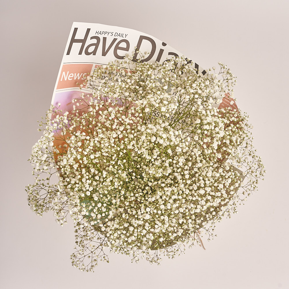 Product image Bouquet 15 Gypsophilus, vendor code: 2678