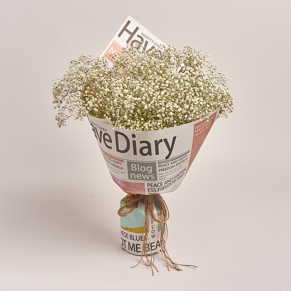 Product image Bouquet 15 Gypsophilus, vendor code: 2678