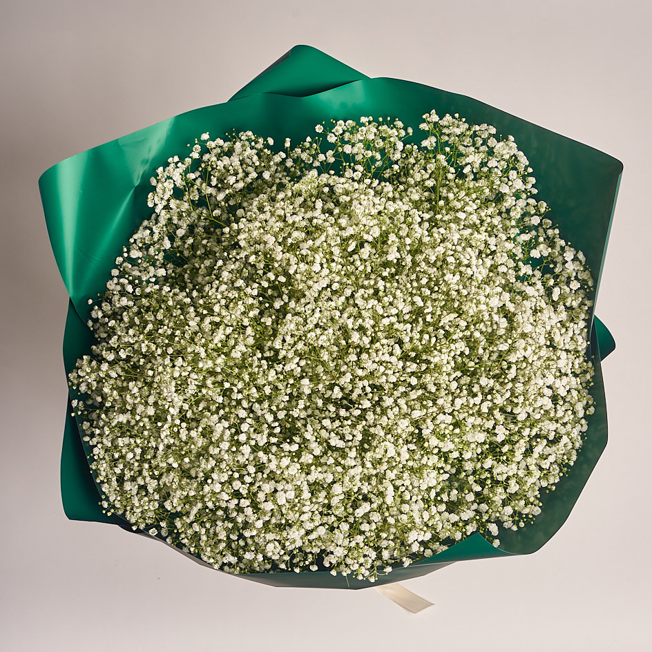 Product image Bouquet 25 Gypsophilus, vendor code: 2708